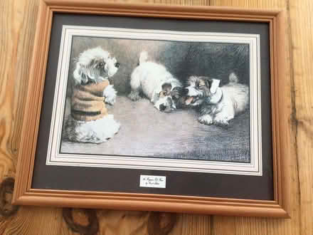 Photo of free Picture of dogs (ME14) #1