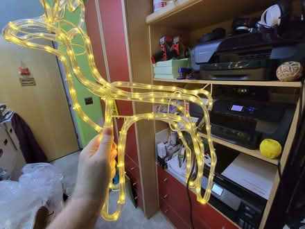 Photo of free Light up Christmas Deer (Courtlands WD25) #2