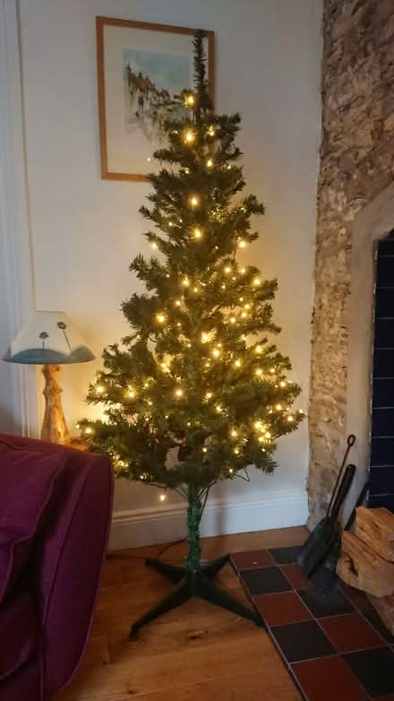Photo of free Artificial Christmas Tree (Cork city centre) #2
