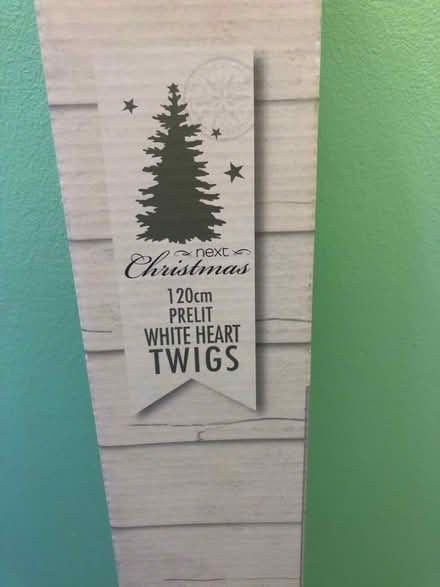 Photo of free White heart twigs (Whitegrove RG42) #2