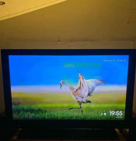 Photo of free 65” Panasonic Viera TV (Fradley WS13) #2