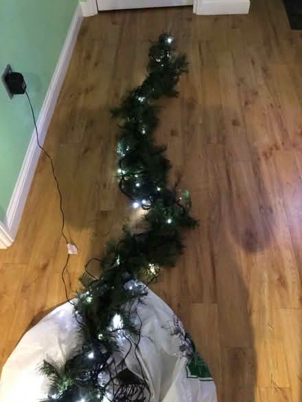 Photo of free Garland with lights (Whitegrove RG42) #1