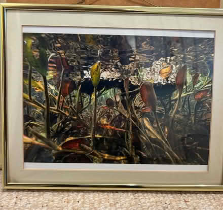 Photo of free 3 framed picture (Chiswick W4) #3