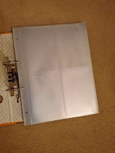 Photo of free Photograph Sleeves (Bexhill) #1