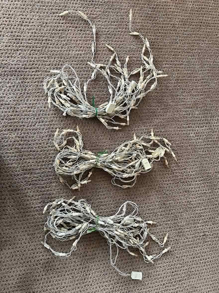 Photo of free White holiday lights (North Boulder) #2