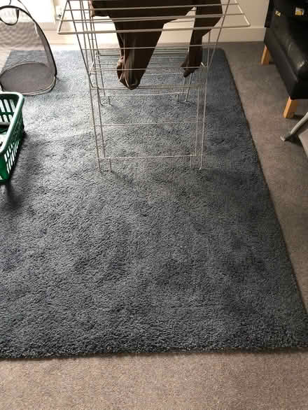 Photo of free Rugs x 2 , 240 x 175 cm approx (Midhurst, West Sussex) #2