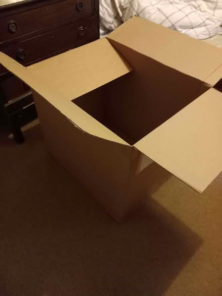 Photo of free Large cardboard box (Leckhampton GL53) #1