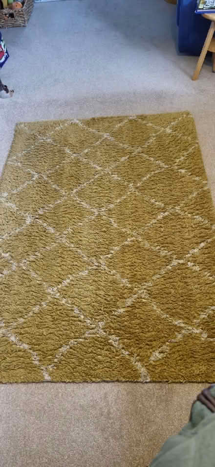 Photo of free Mustard Rug (Wimborne BH21) #4