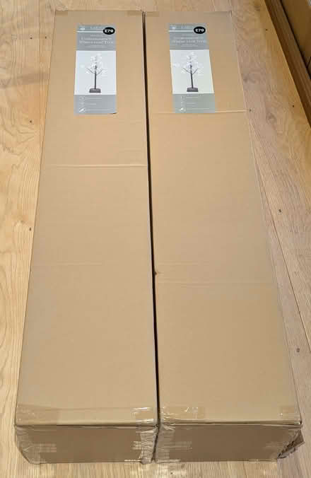 Photo of free Pair of M&S Winter Leaf Trees (Ivinghoe Aston LU7) #3