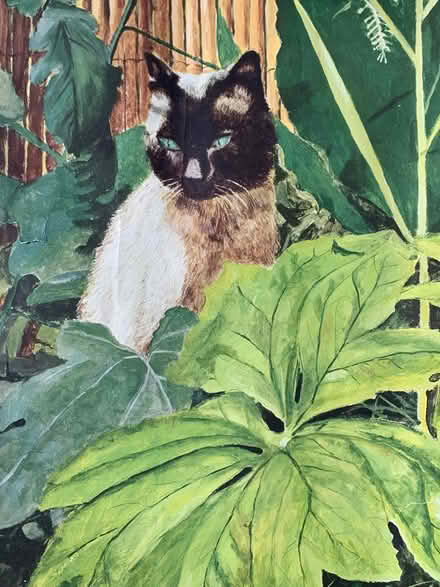 Photo of free Cat picture (Sharrow, Sheffield S7) #2