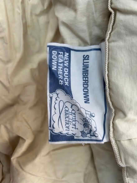 Photo of free Duvets (Normandy GU3) #2