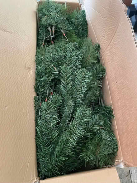 Photo of free Christmas tree 7ft (Woodingdean BN2) #1