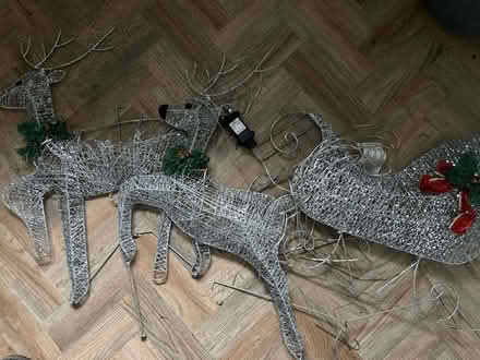 Photo of free Christmas garden decoration (Wainscott) #1