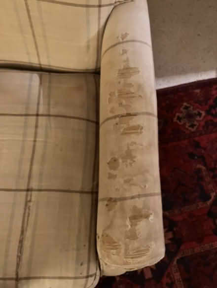 Photo of free Laura Ashley Wessex chair (Ulverley Green B92) #3