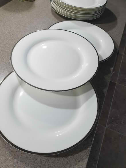 Photo of free China Dinner plates set of 10 (Sutton in Ashfield NG17) #1