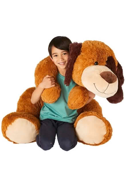 Photo of free Huge dog teddy (Midsomer norton) #1