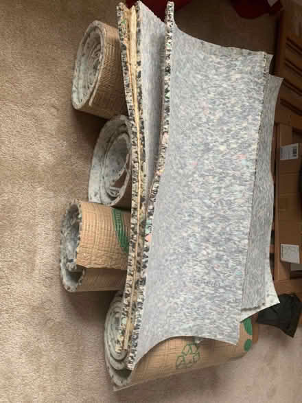 Photo of free Carpet Underlay (Chippenham SN14) #1