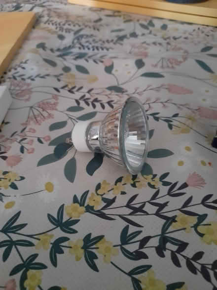 Photo of free SPOTLIGHT BULBS GU10 Halogen 6 off (SN1 old town swindon) #3