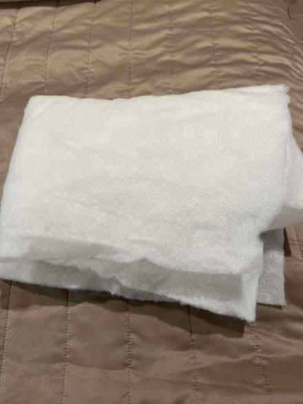 Photo of free Polyester wadding (Merstham RH1) #1