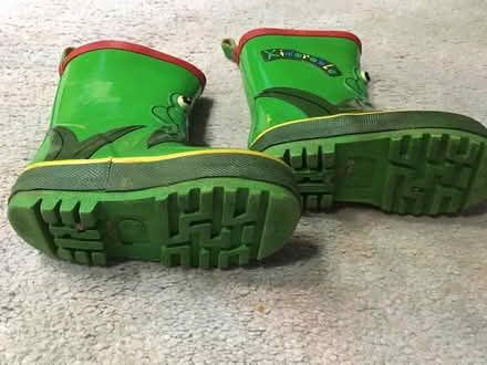 Photo of free Toddler’s Froggie wellies (UK 4) (Chelmer Village CM2) #4