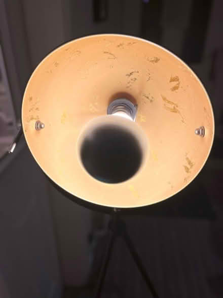 Photo of free Tripod Floor Lamp (Shotley Bridge, DH8) #3