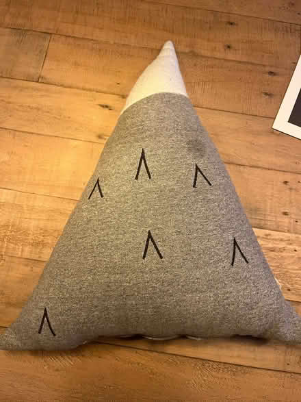Photo of free Mountain cushion (Levenshulme M19) #1