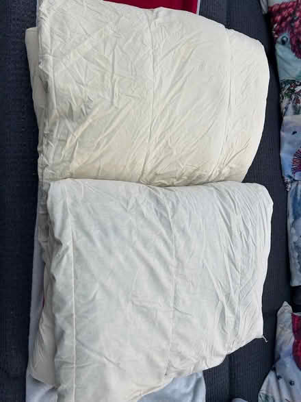 Photo of free Duvets (Normandy GU3) #1