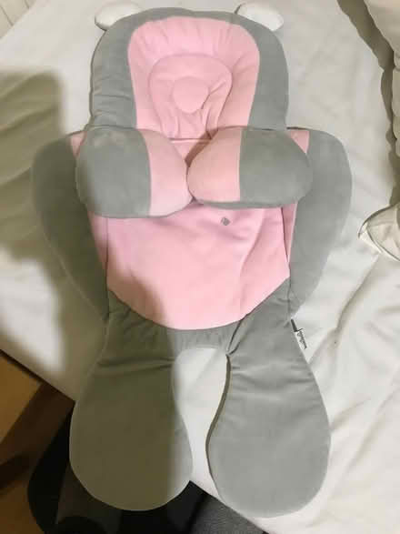 Photo of free Newborn pram insert (LA1 Skerton) #1