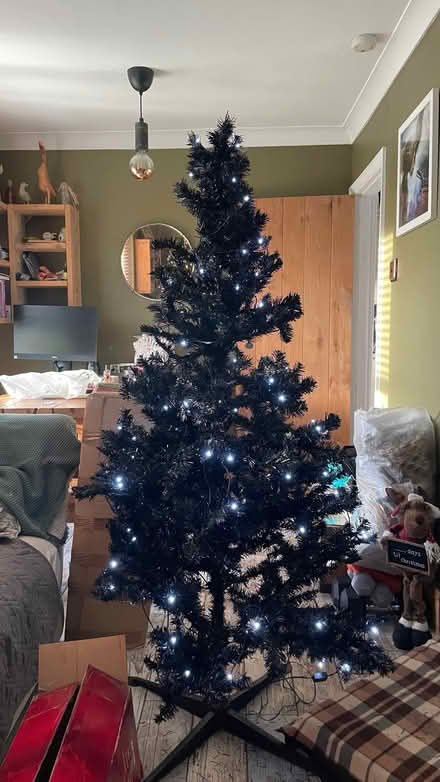 Photo of free Christmas tree (Woodingdean BN2) #1