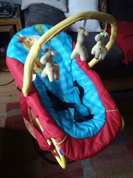 Photo of free Baby bouncer (Greystones S11) #1