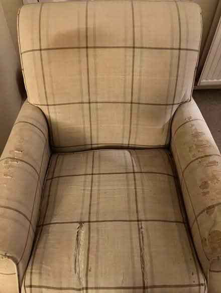 Photo of free Laura Ashley Wessex chair (Ulverley Green B92) #4