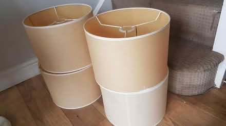Photo of free Retro light shades (Staplecross TN32) #1