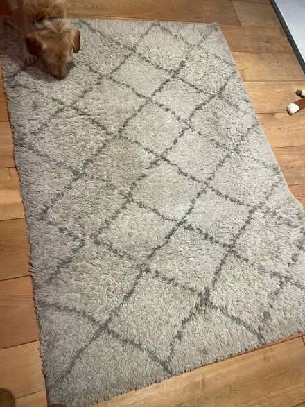 Photo of free Long pile rug (Bristol BS7) #1