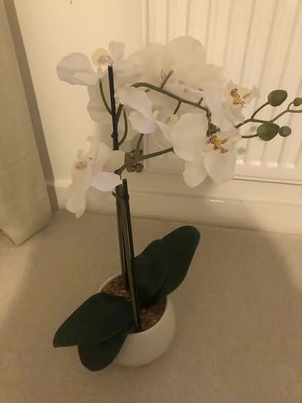 Photo of free Artificial orchard potted plant M&S (WA4 1DL) #2
