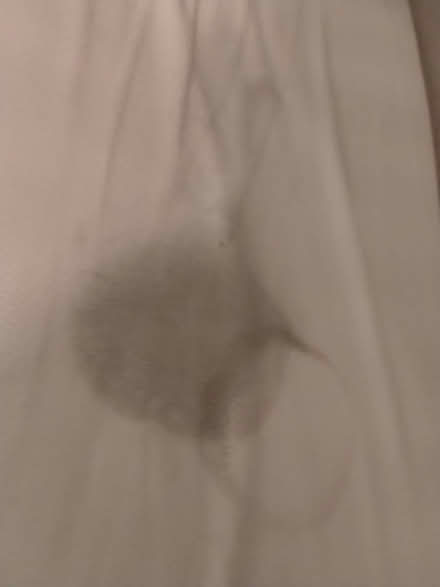 Photo of free Two Kids Mattresses (CT12) #4