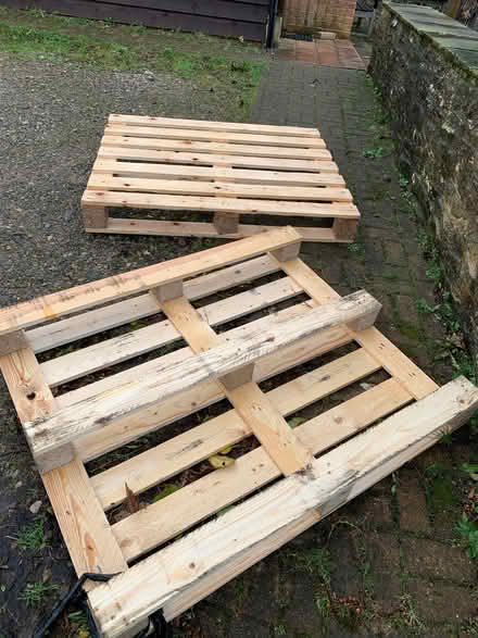 Photo of free One new pallet (South Oxfordshire OX3) #1