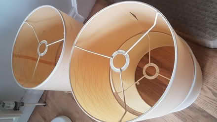 Photo of free Retro light shades (Staplecross TN32) #2