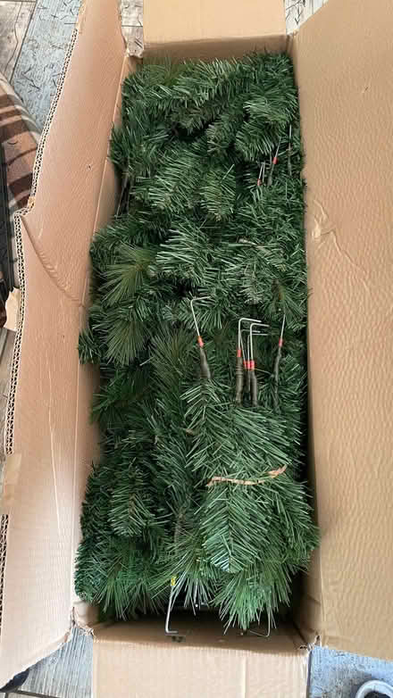 Photo of free Christmas tree 7ft (Woodingdean BN2) #3