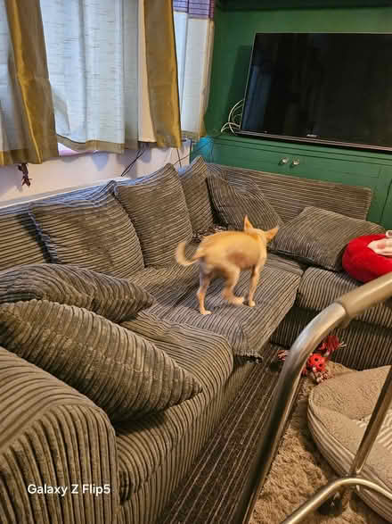 Photo of free Right hand corner sofa (boxgrove) #3
