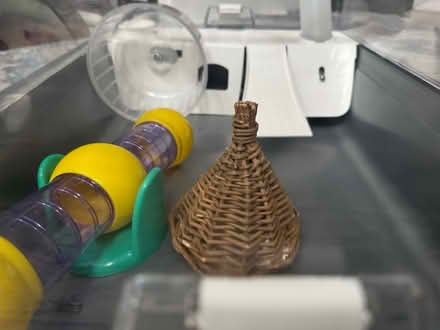 Photo of free Hamster Cage & Accessories (SE4) #4