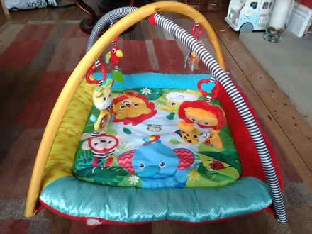 Photo of free Padded baby playmat (Greystones S11) #1
