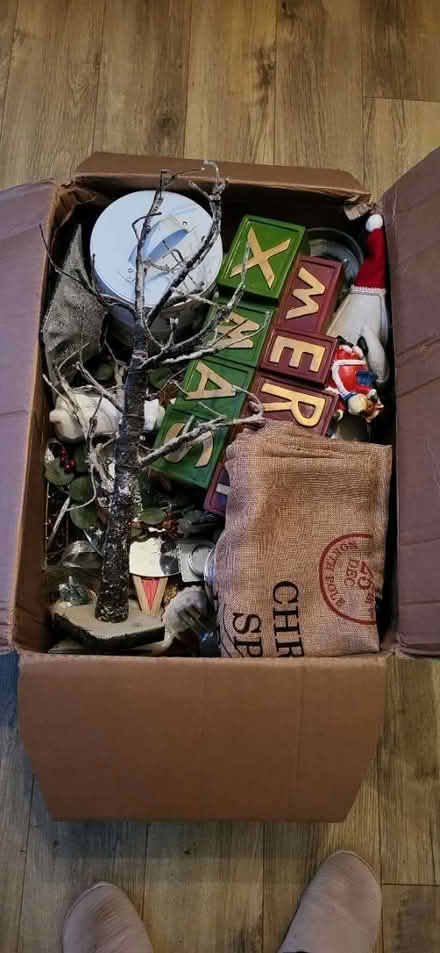 Photo of free Christmas (Fordham Heath CO3) #1