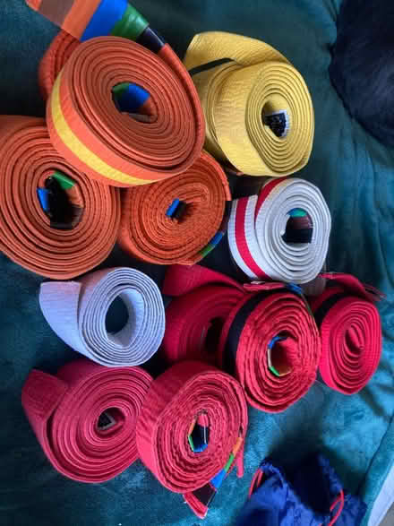 Photo of free Martial arts belts (Cromford DE4) #1