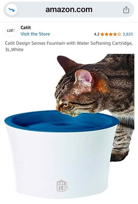 Photo of free Catit Water Fountain (Oradell) #1