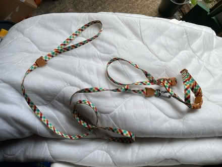 Photo of free Cat Harness / collar / leads (Water Eaton MK2) #2