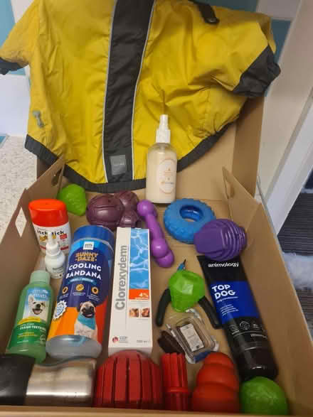 Photo of free Box of dog bits and bobs (Winchmore Hill HP7) #1