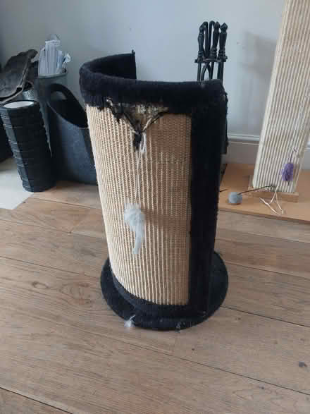 Photo of free Cat scratching post (Ringmer BN8) #1