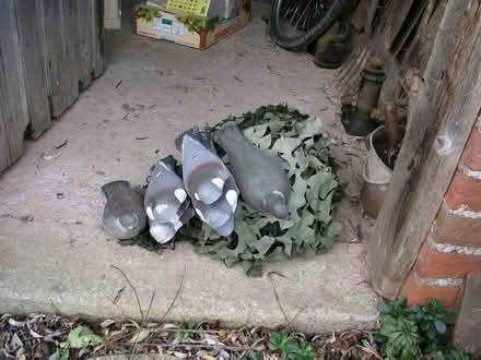 Photo of free Shooting decoy pigeons (Much Cowarne HR7) #1
