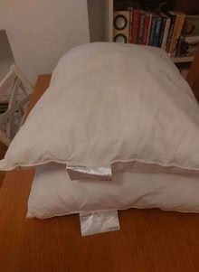 Photo of free Three pillows for pet bedding etc (Carlton Hill BN2) #1