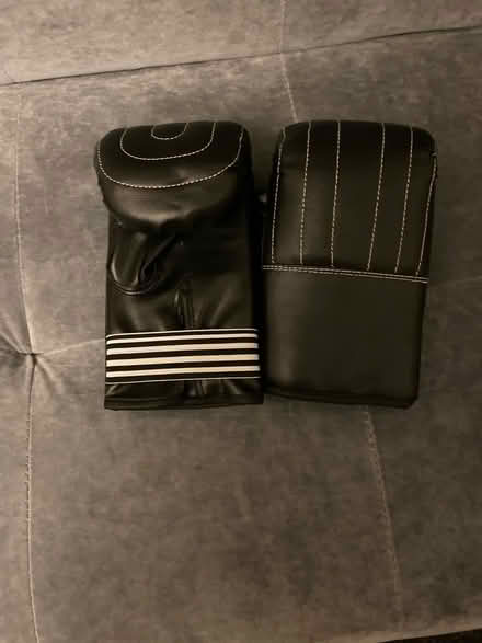 Photo of free Boxing gloves and pads (Crawley RH11) #2